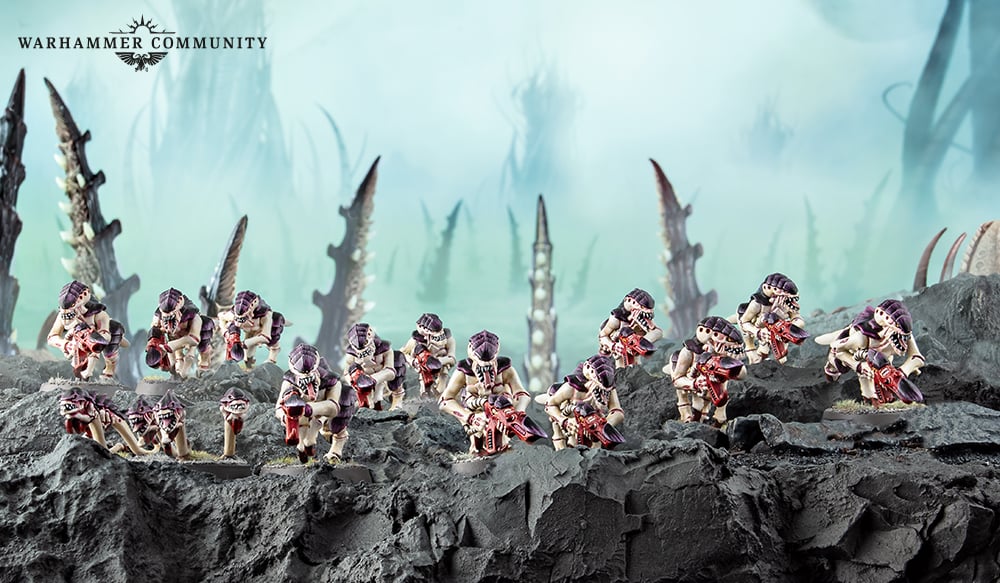 Redtoof's Mostly 40K Blog: The Vardenghast Swarm - Tyranid Combat Patrol